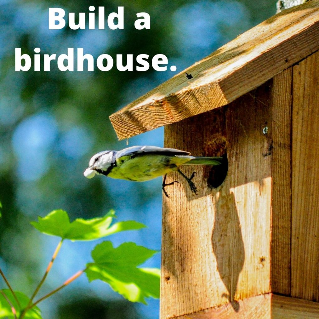 Celebrate Earth day 2020 at home - build a birdhouse.