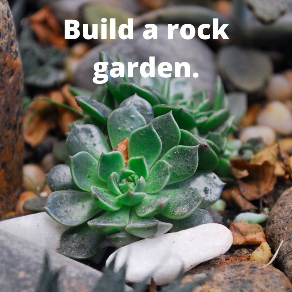 Celebrate Earth day 2020 at home - build a rock garden.