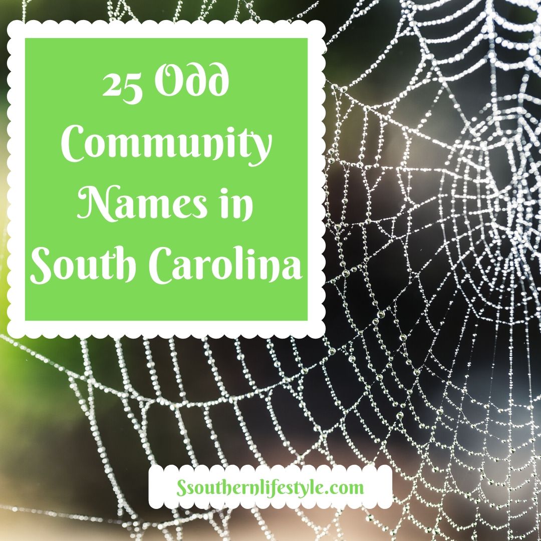 Twenty five odd named communities in South Carolina
